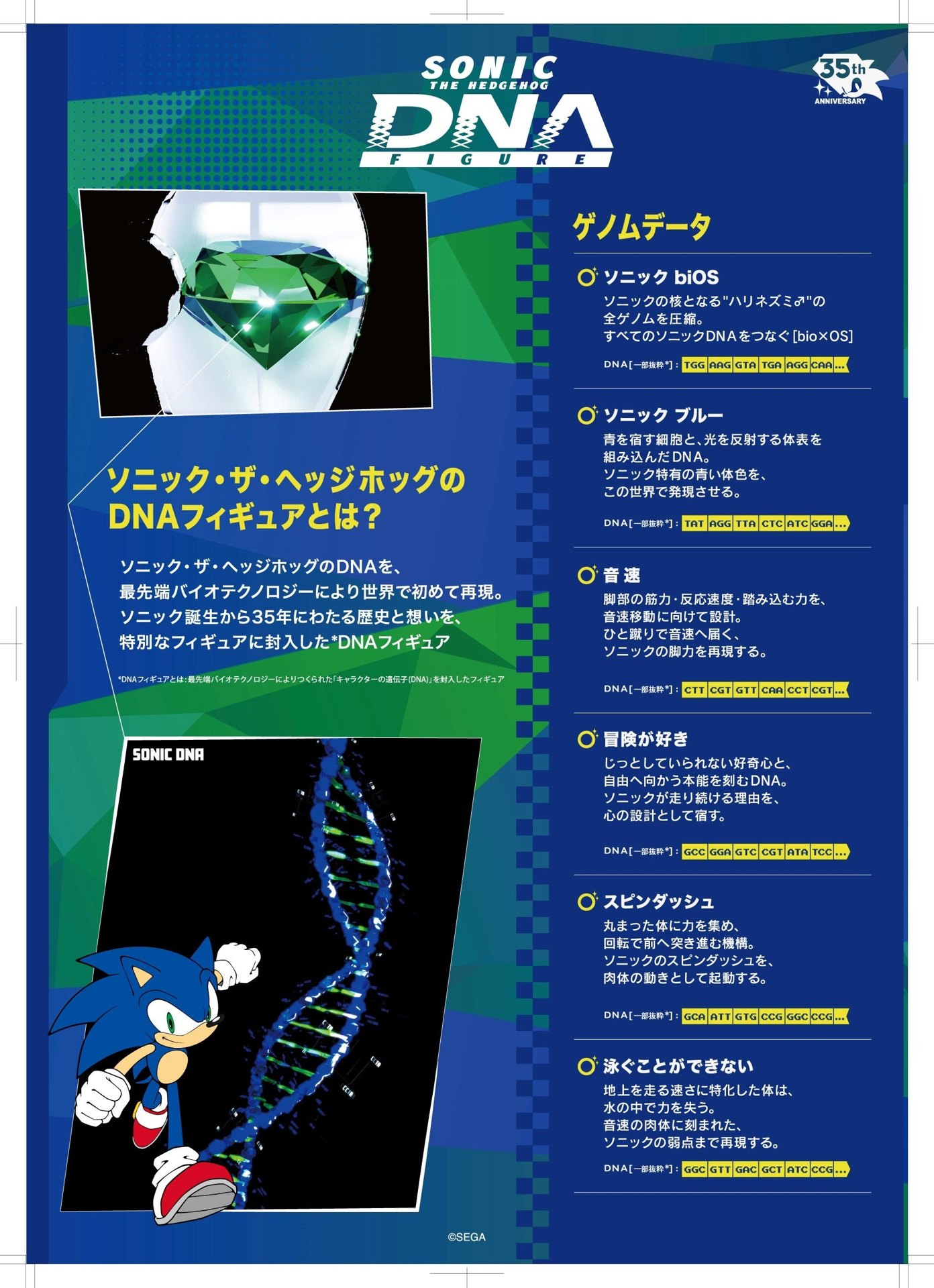Japanische Infotafel mit grünem Chaos Emerald, DNA-Doppelhelix und Sonic, auf der die einzelnen DNA-Bausteine erklärt werden