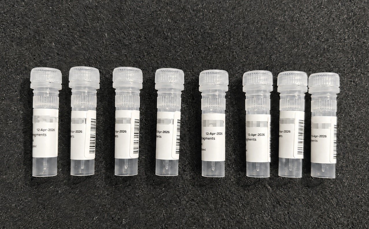 Acht beschriftete Laborröhrchen mit synthetischer DNA auf dunklem Schaumstoff